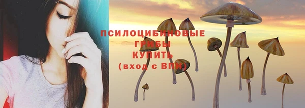Альфа ПВП Волосово