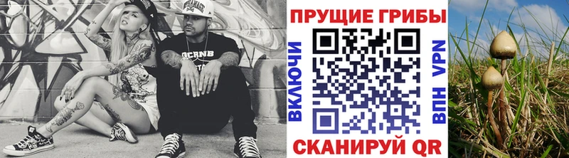 Галлюциногенные грибы Psilocybe  kraken онион  Ачинск 